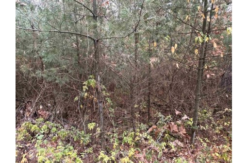 147+/-ACRES Happersett Lane, Redgranite, WI 54970