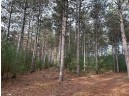 147+/-ACRES Happersett Lane, Redgranite, WI 54970