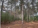 147+/-ACRES Happersett Lane, Redgranite, WI 54970