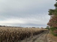 147+/-ACRES Happersett Lane