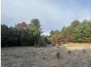 147+/-ACRES Happersett Lane, Redgranite, WI 54970