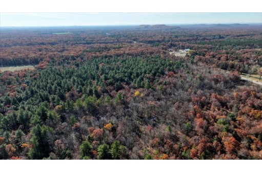 75+/- ACRES Dover Drive, Adams, WI 53910