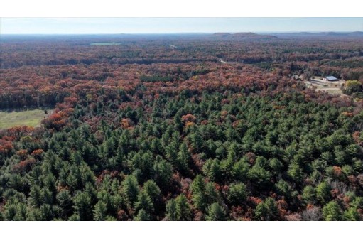 75+/- ACRES Dover Drive, Adams, WI 53910