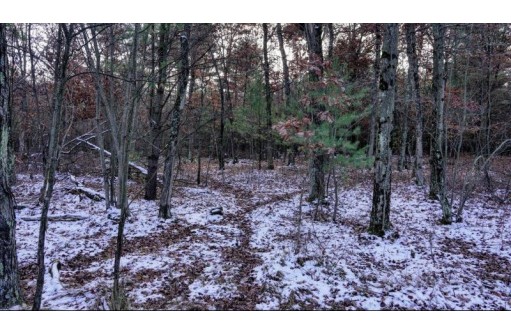 75+/- ACRES Dover Drive, Adams, WI 53910