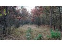 75+/- ACRES Dover Drive, Adams, WI 53910