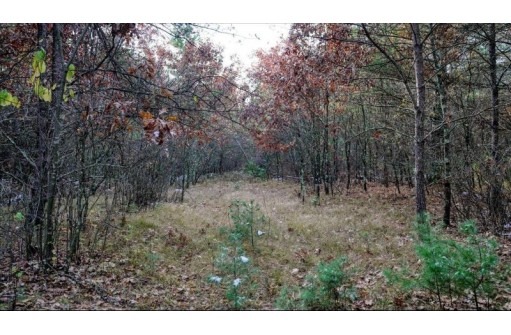 75+/- ACRES Dover Drive, Adams, WI 53910