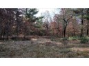 75+/- ACRES Dover Drive, Adams, WI 53910