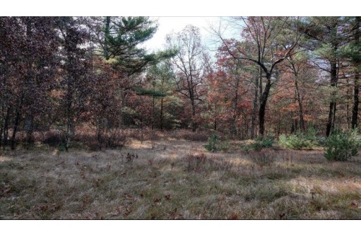 75+/- ACRES Dover Drive, Adams, WI 53910