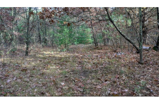 75+/- ACRES Dover Drive, Adams, WI 53910