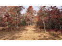 75+/- ACRES Dover Drive, Adams, WI 53910