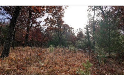 75+/- ACRES Dover Drive, Adams, WI 53910