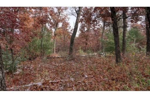 75+/- ACRES Dover Drive, Adams, WI 53910