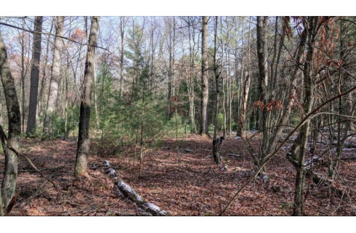 75+/- ACRES Dover Drive, Adams, WI 53910