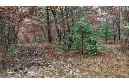 75+/- ACRES Dover Drive, Adams, WI 53910