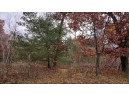 75+/- ACRES Dover Drive, Adams, WI 53910