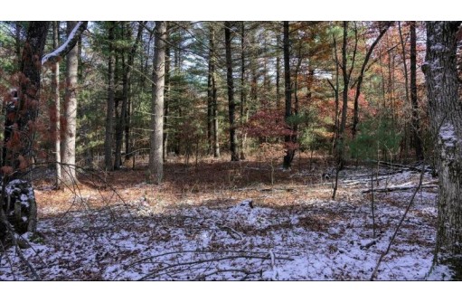 75+/- ACRES Dover Drive, Adams, WI 53910