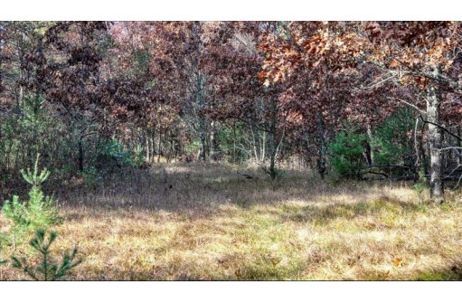 75+/- ACRES Dover Drive, Adams, WI 53910