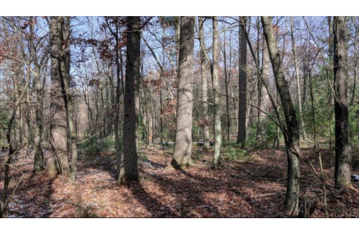 75+/- ACRES Dover Drive, Adams, WI 53910