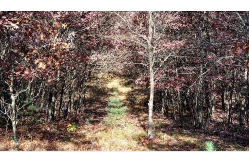 75+/- ACRES Dover Drive, Adams, WI 53910