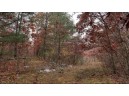 75+/- ACRES Dover Drive, Adams, WI 53910