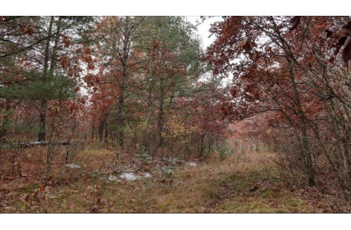 75+/- ACRES Dover Drive, Adams, WI 53910