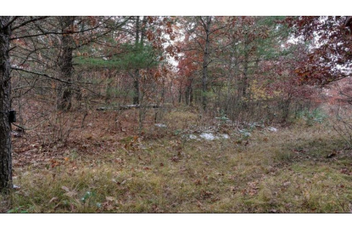 75+/- ACRES Dover Drive, Adams, WI 53910