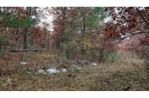 75+/- ACRES Dover Drive, Adams, WI 53910