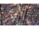 75+/- ACRES Dover Drive, Adams, WI 53910