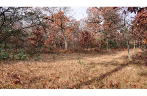 75+/- ACRES Dover Drive, Adams, WI 53910