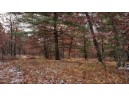 75+/- ACRES Dover Drive, Adams, WI 53910