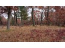 75+/- ACRES Dover Drive, Adams, WI 53910