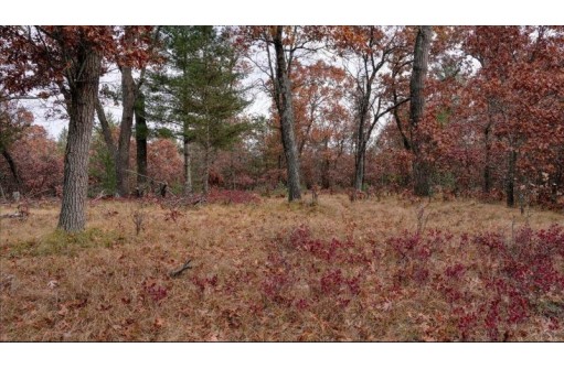 75+/- ACRES Dover Drive, Adams, WI 53910