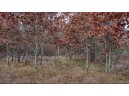 75+/- ACRES Dover Drive, Adams, WI 53910