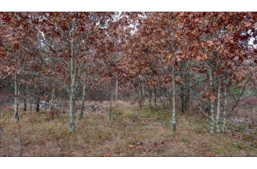 75+/- ACRES Dover Drive, Adams, WI 53910