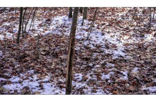 75+/- ACRES Dover Drive, Adams, WI 53910