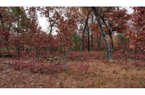 75+/- ACRES Dover Drive, Adams, WI 53910