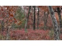 75+/- ACRES Dover Drive, Adams, WI 53910