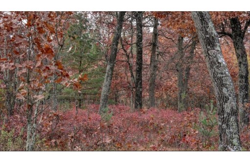 75+/- ACRES Dover Drive, Adams, WI 53910