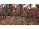 75+/- ACRES Dover Drive, Adams, WI 53910