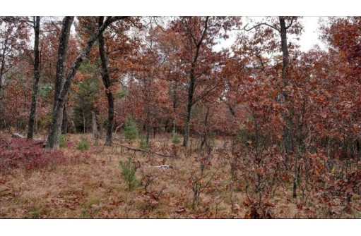 75+/- ACRES Dover Drive, Adams, WI 53910