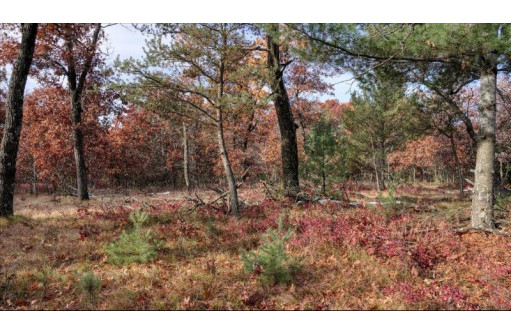 75+/- ACRES Dover Drive, Adams, WI 53910