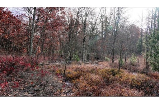 75+/- ACRES Dover Drive, Adams, WI 53910