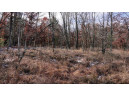 75+/- ACRES Dover Drive, Adams, WI 53910