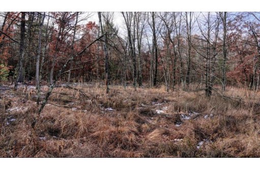 75+/- ACRES Dover Drive, Adams, WI 53910