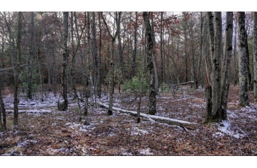 75+/- ACRES Dover Drive, Adams, WI 53910