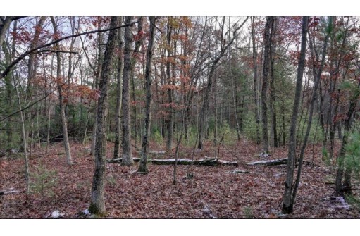 75+/- ACRES Dover Drive, Adams, WI 53910