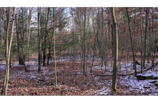 75+/- ACRES Dover Drive, Adams, WI 53910