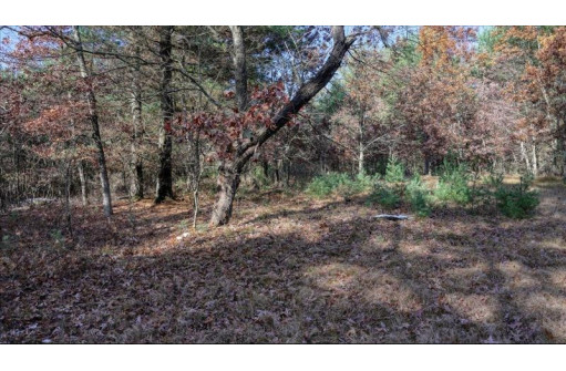 75+/- ACRES Dover Drive, Adams, WI 53910