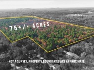 75+/- ACRES Dover Drive