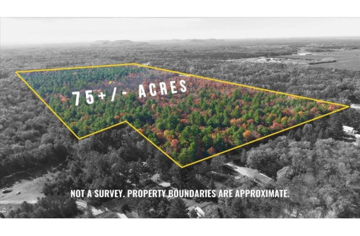 75+/- ACRES Dover Drive, Adams, WI 53910